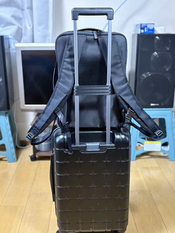 スーツケースとのマッチング;背面