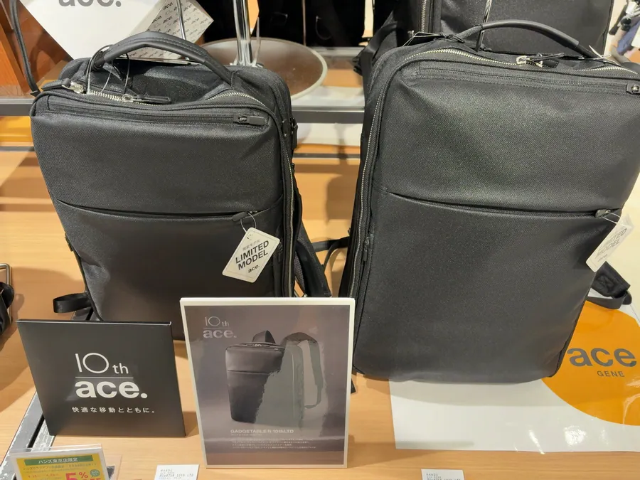 ガジェタブルR10thLTD商品画像2個